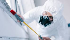 Emergency Pest Control Services in Le Claire, IA